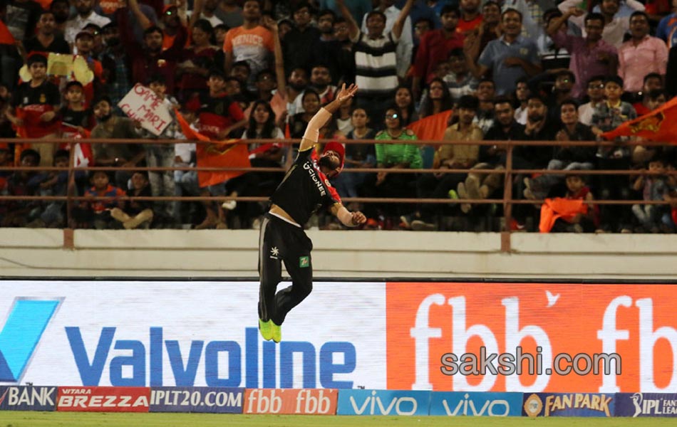 RCB celebrates after win the match during match - Sakshi6