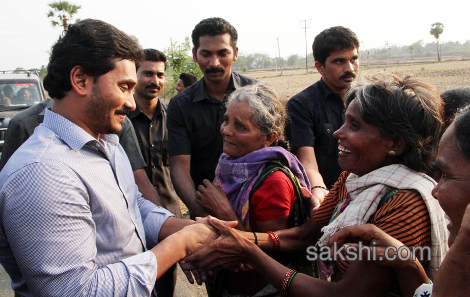 YS Jagan Tour In Srikakulam - Sakshi8