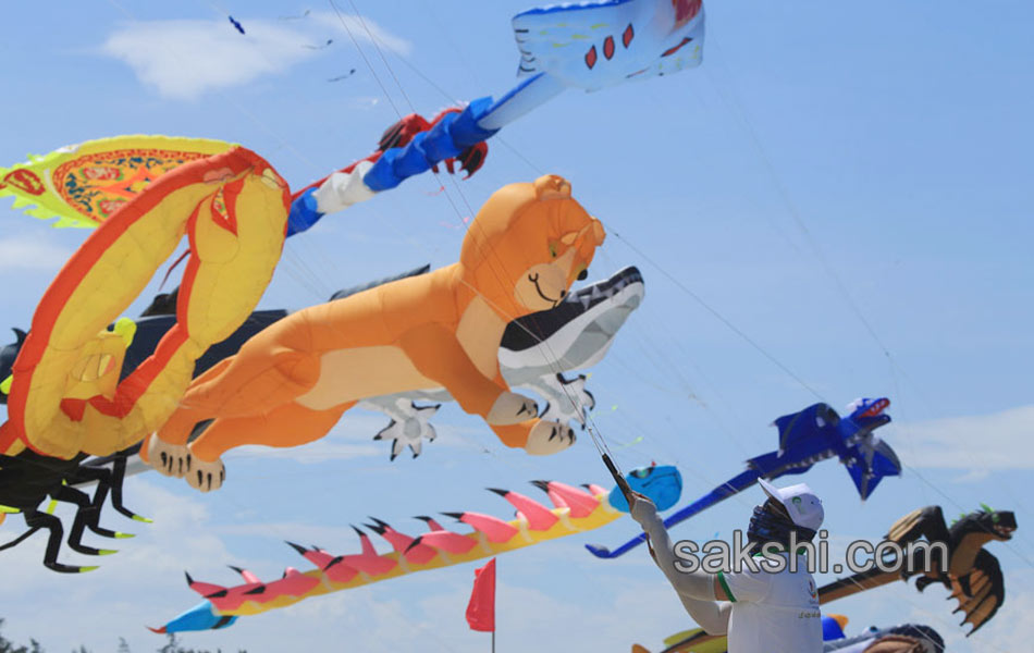 International Kite Festival in Vietnams Quang Nam province7