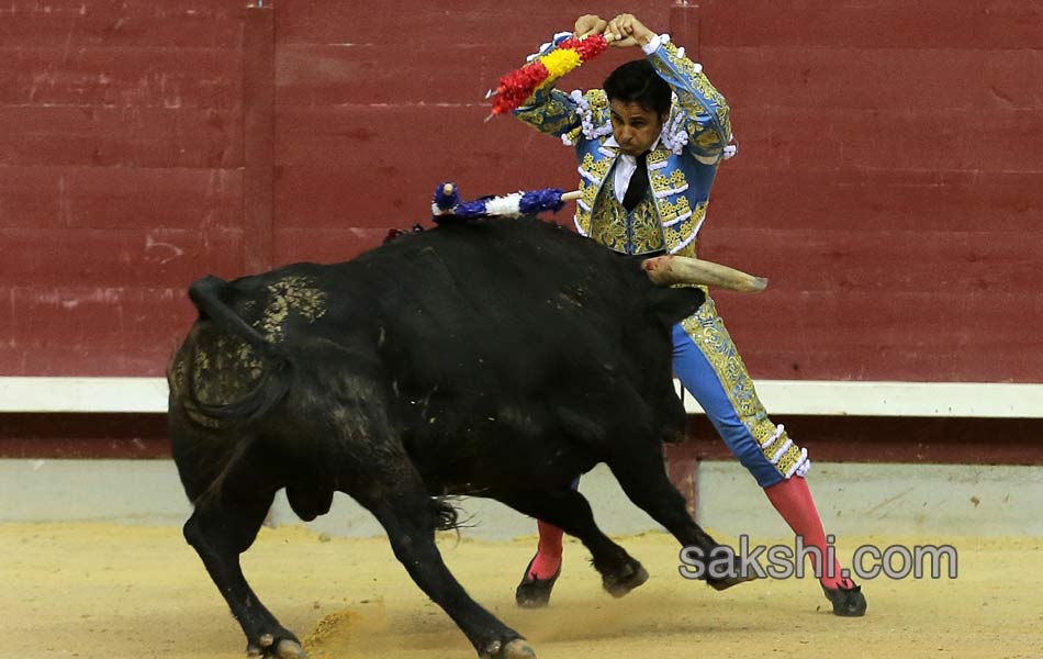 bull fight in spanish - Sakshi10