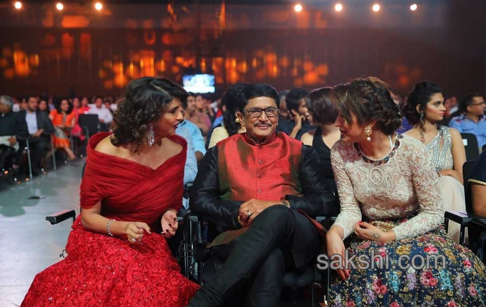 SIIMA award Abu Dhabi 20177