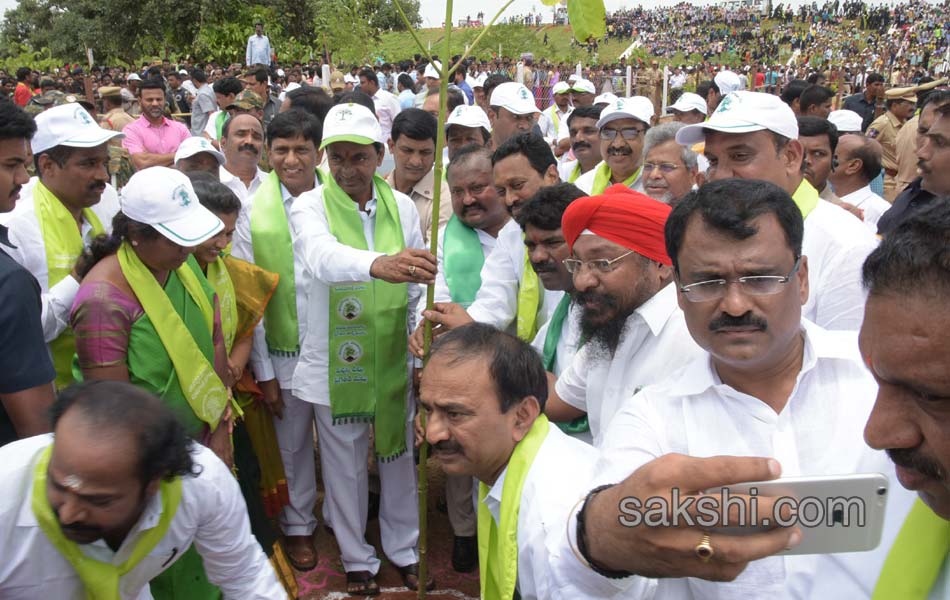 Haritha Haram - Sakshi1