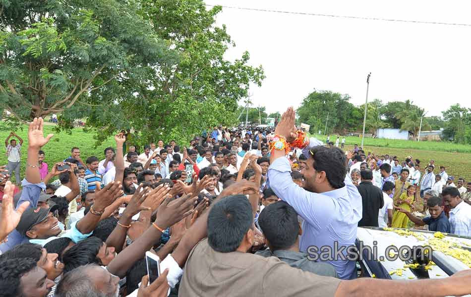 YS Jagan Tour in Nandyala - Sakshi5