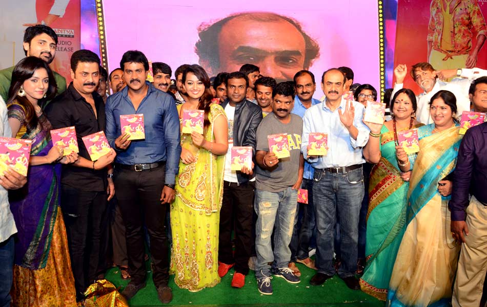 Bhimavaram Bullodu audio launch in DNR College - Sakshi1