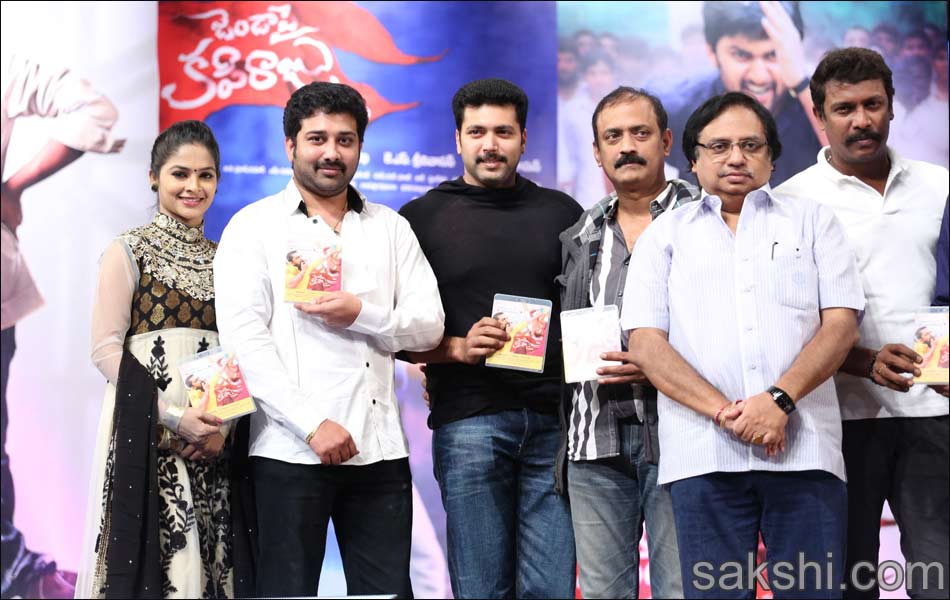 Janda Pai Kapiraju Audio Launch - Sakshi5