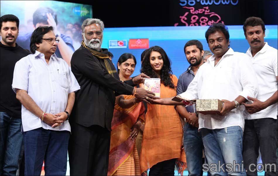 Janda Pai Kapiraju Audio Launch - Sakshi7