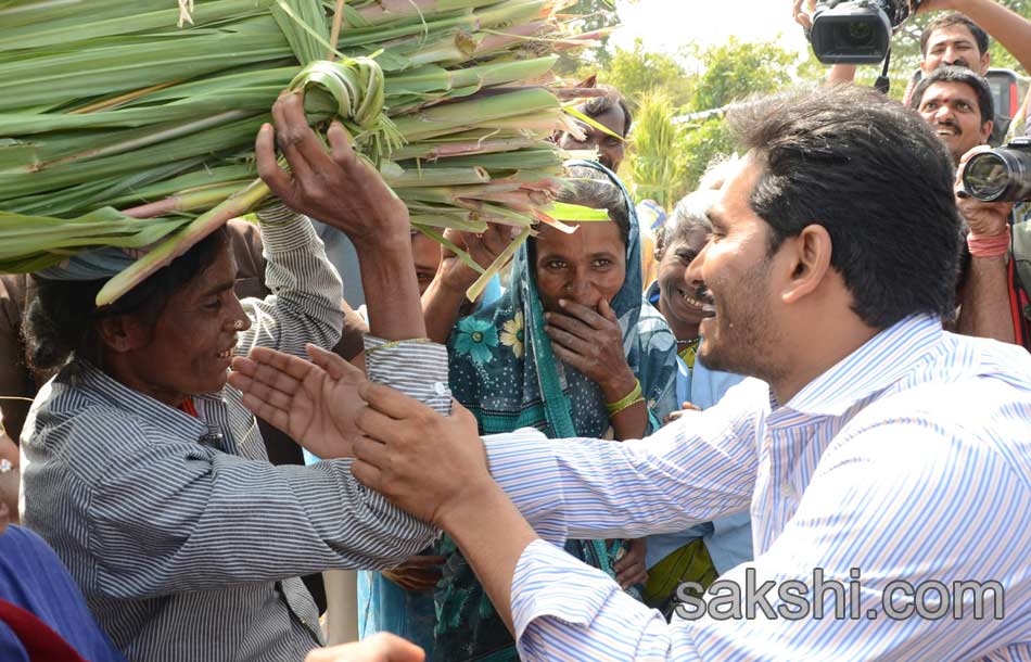 tirupathi tour in ys jagan mohan reddy - Sakshi17