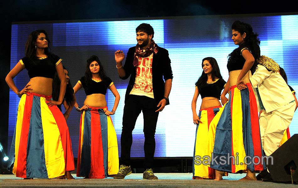 stars musical night at warangal48