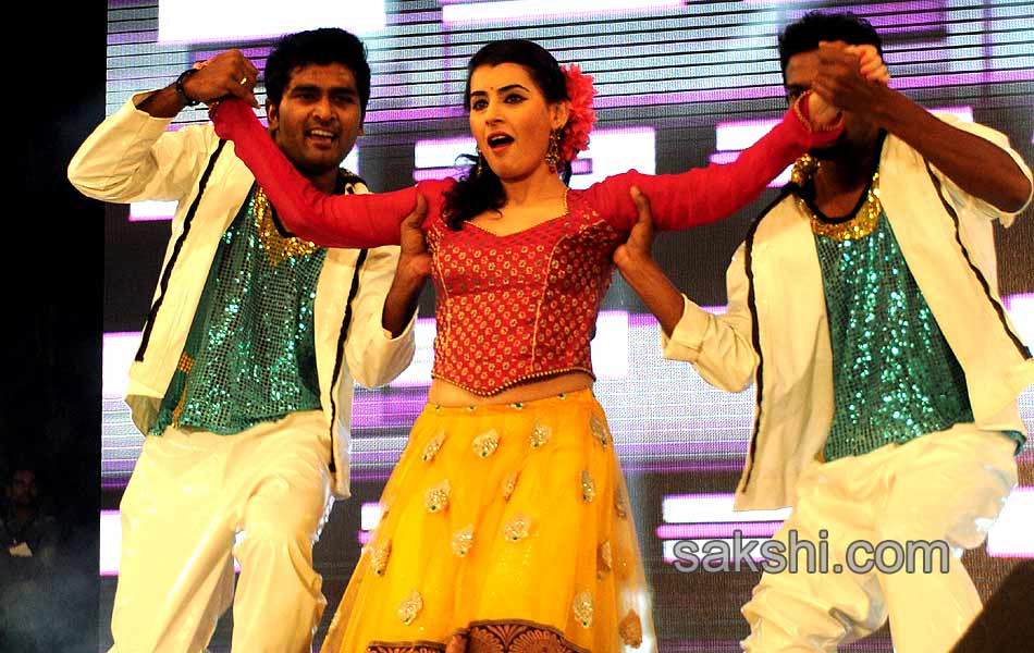 stars musical night at warangal49