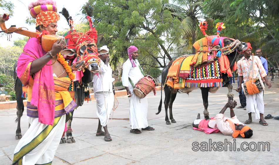 sankranti festival2