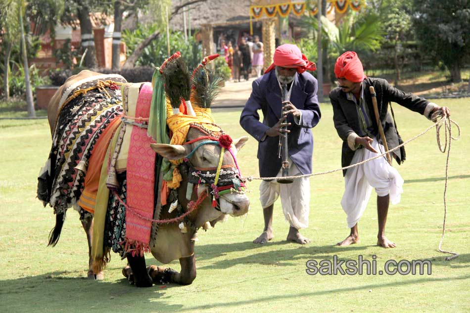 sankranti festival7