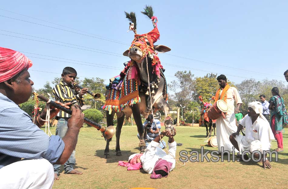 sankranti festival15