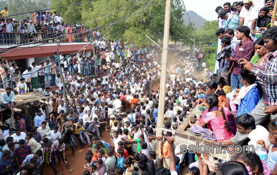 2014 Alanganallur Jallikattu - Sakshi15