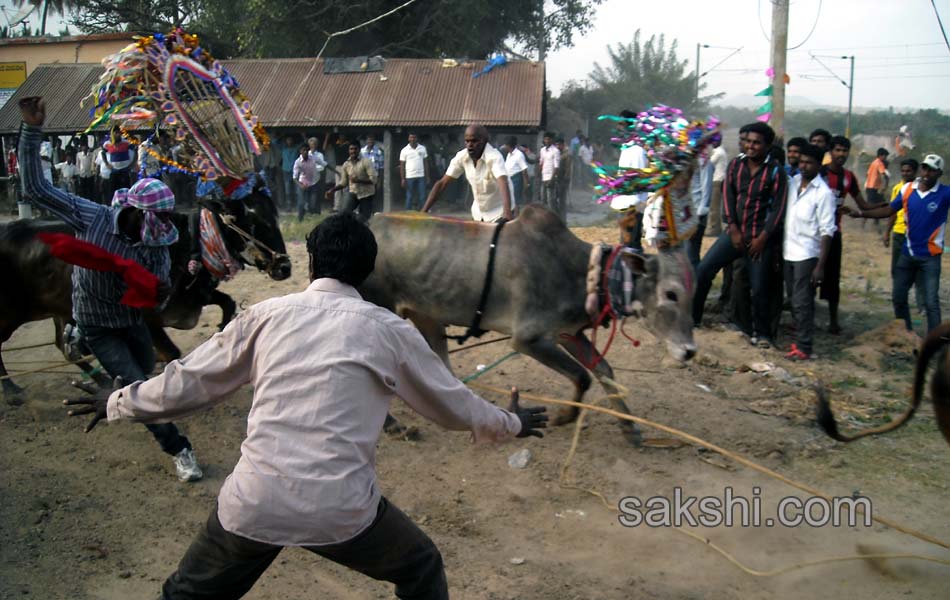 2014 Alanganallur Jallikattu - Sakshi59