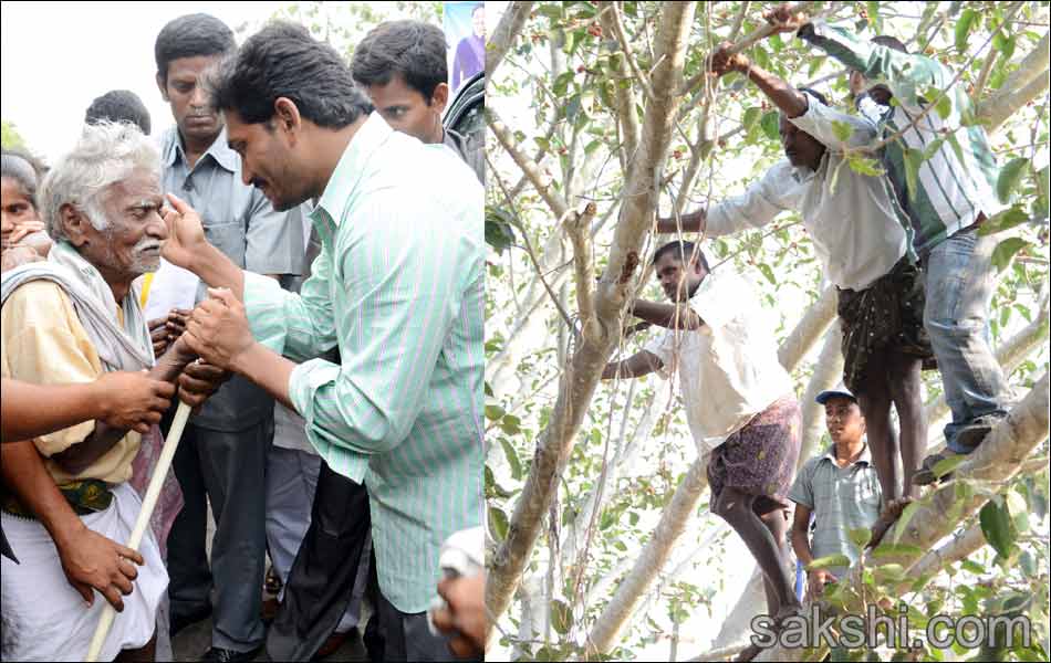 jagan mohan reddy shankaravam tour - Sakshi3