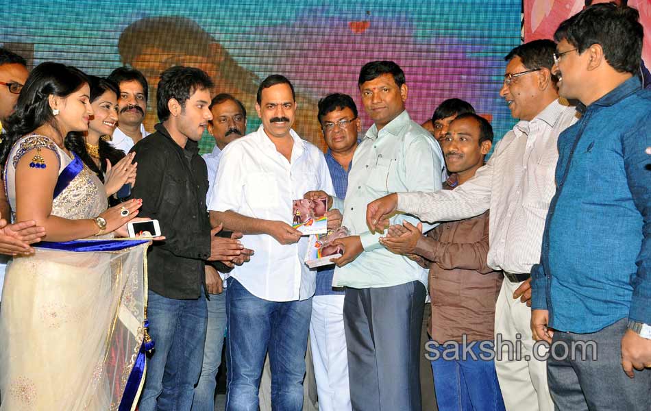 Present Love Audio Launch28