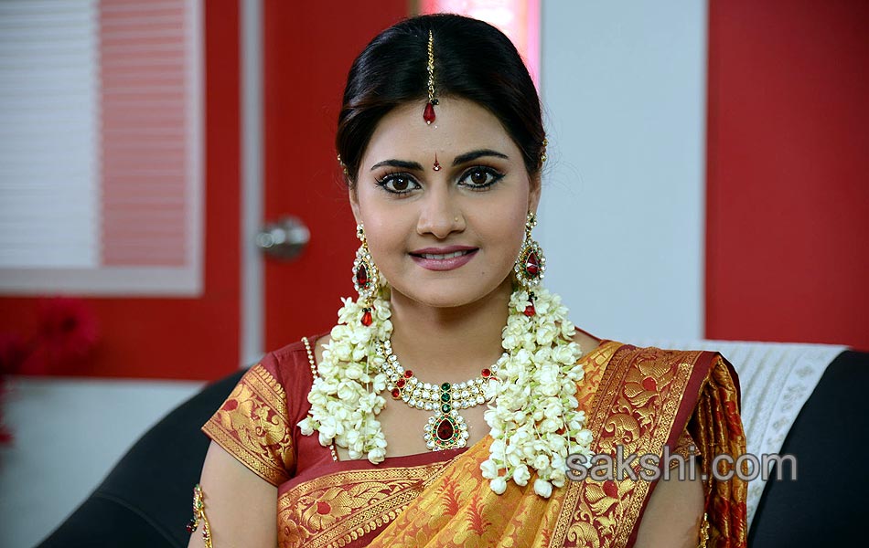 Malligadu Marriage Bureau Movie Gallery1