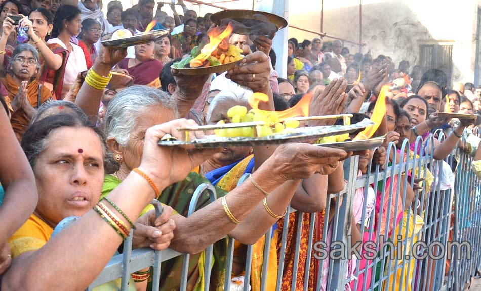 tirumala rathasapthami - Sakshi13