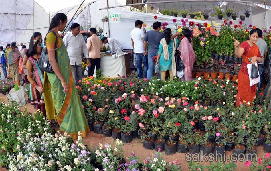 plants mela in nizam collage2