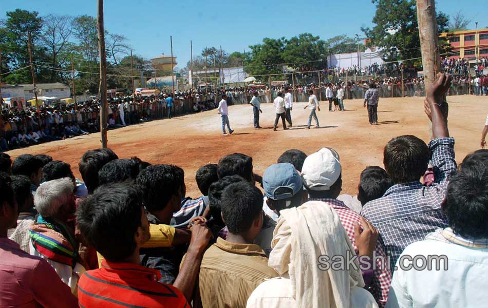 sheep fight in karnataka5