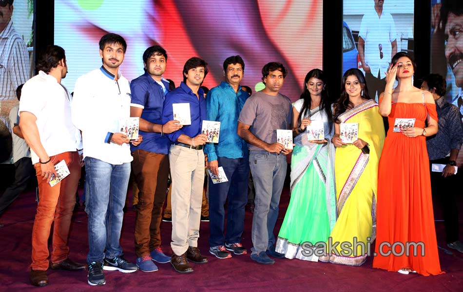 Green Signal Movie Audio Launch13