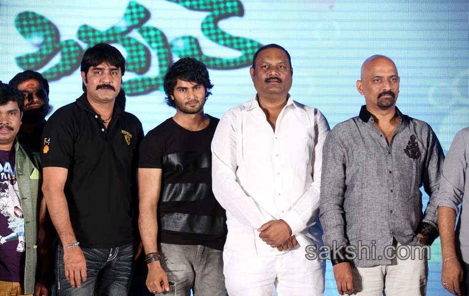 Green Signal Movie Audio Launch24