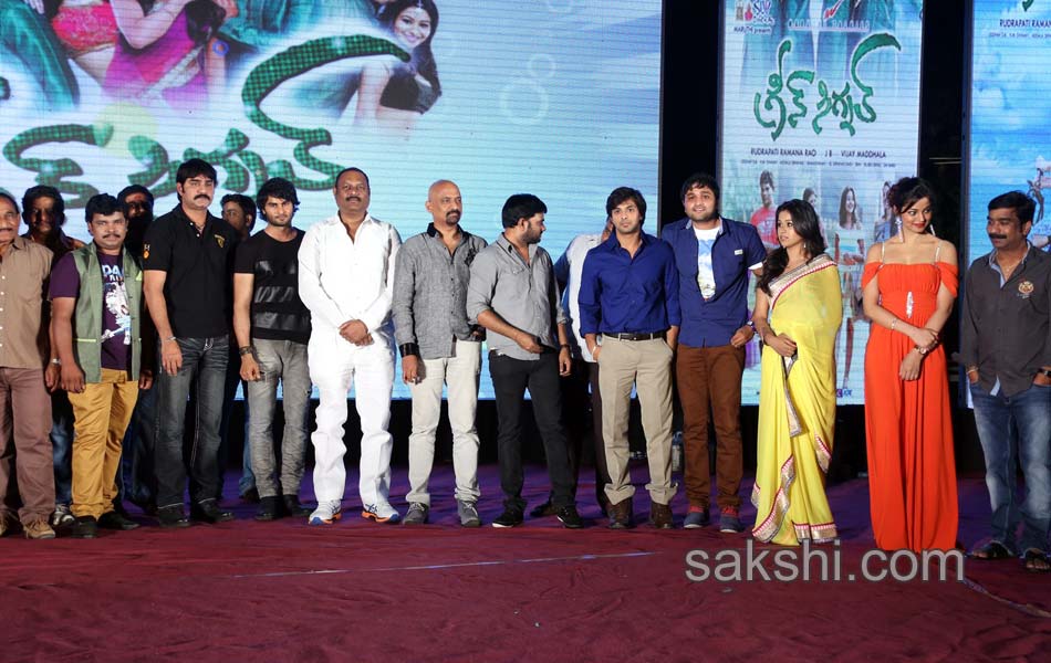 Green Signal Movie Audio Launch25