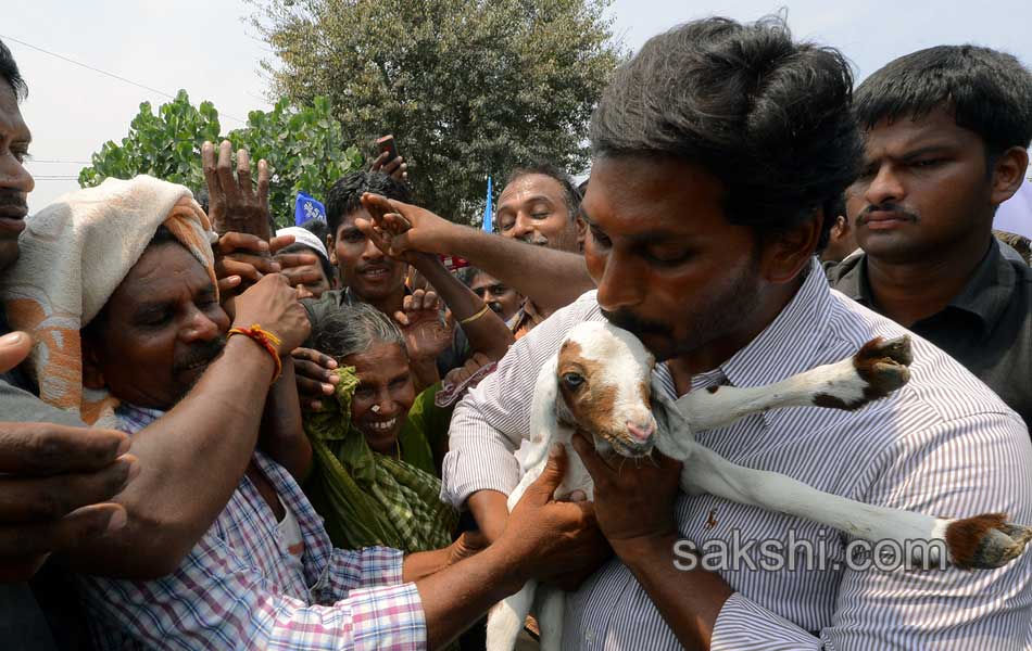 Jagan s Janapatham at Guntur District - Sakshi7