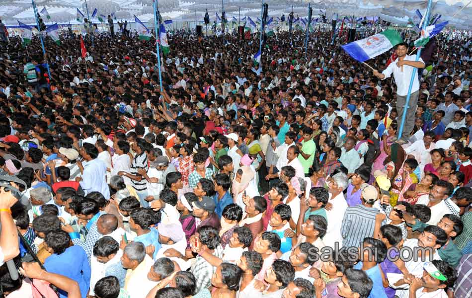 YSRCP election campaign - Sakshi14