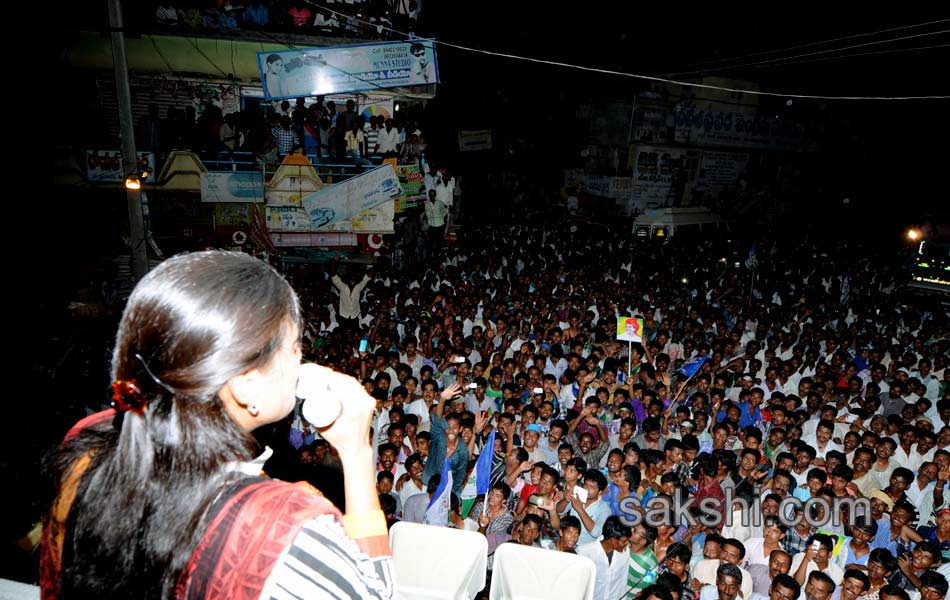 ysrcp election campaign Meeting - Sakshi37