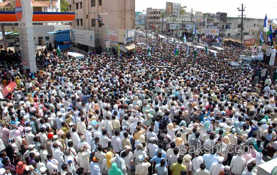 YSRCP Party leaders election campaign Meetings - Sakshi12