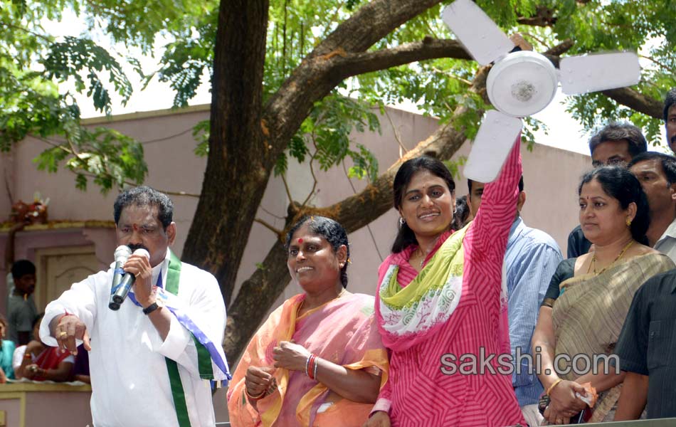 YSRCP Party leaders election campaign Meetings - Sakshi25