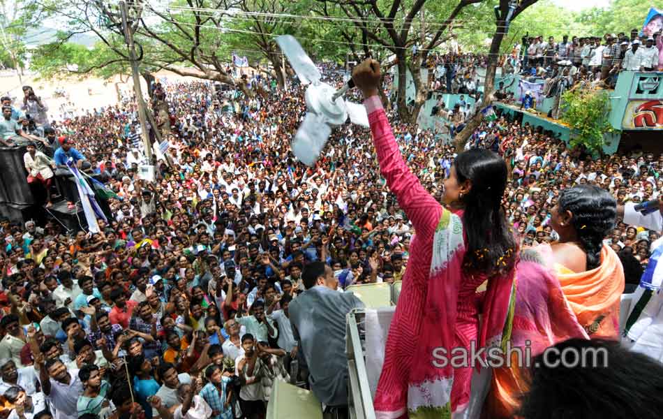 YSRCP Party leaders election campaign Meetings - Sakshi28