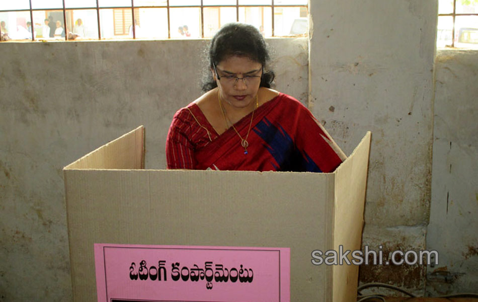 political leaders cast their Votes Elections 2014 in seemandhra - Sakshi28