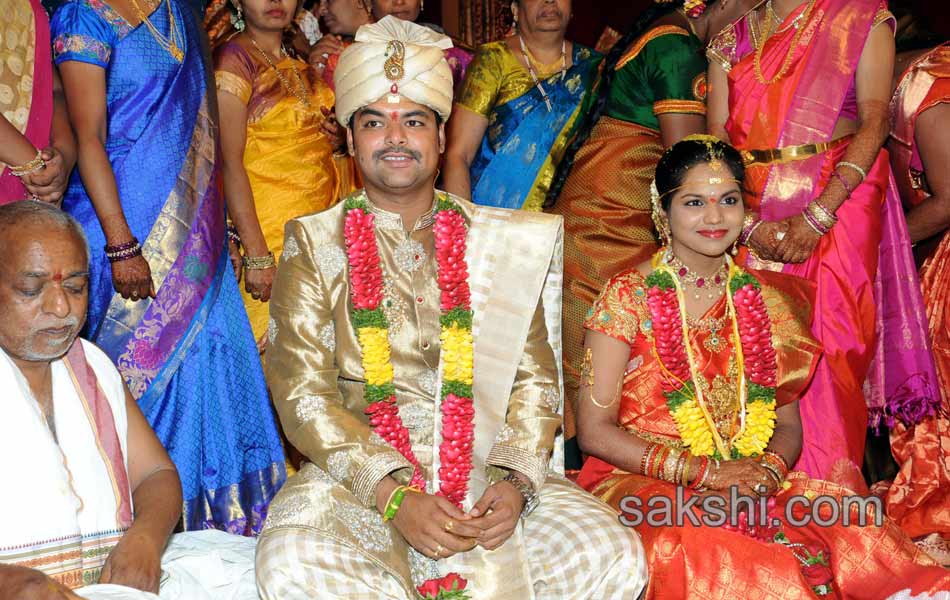 Producer Giri Daughter Wedding photos1