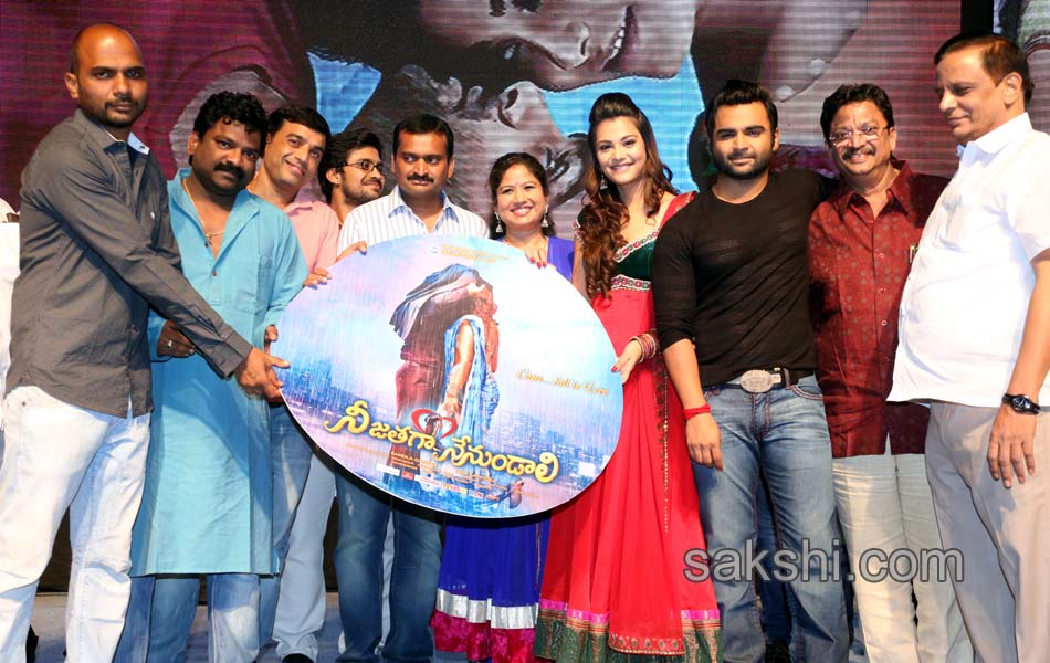 Nee Jathaga Nenundali Audio Launch - Sakshi1