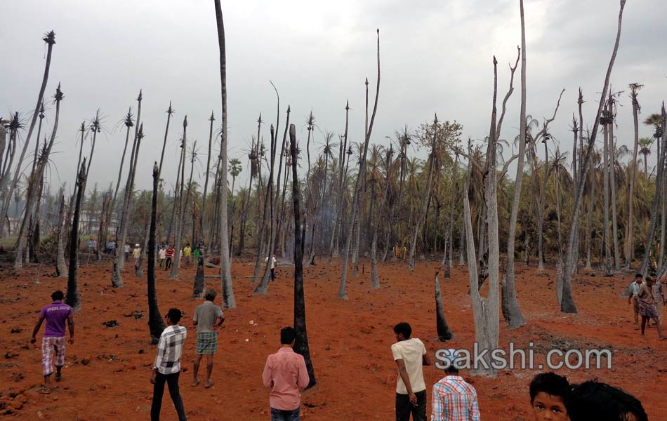 gail gas pipeline blast causes 16 deaths - Sakshi16