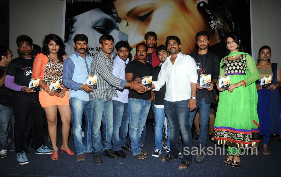 24 By Love Movie Audio Launch7