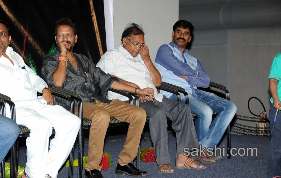 24 By Love Movie Audio Launch16