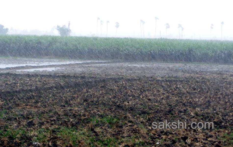 Heavy rains across the district19