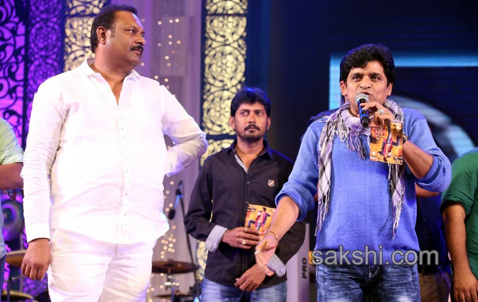 rabhasa movie audio launch - Sakshi14