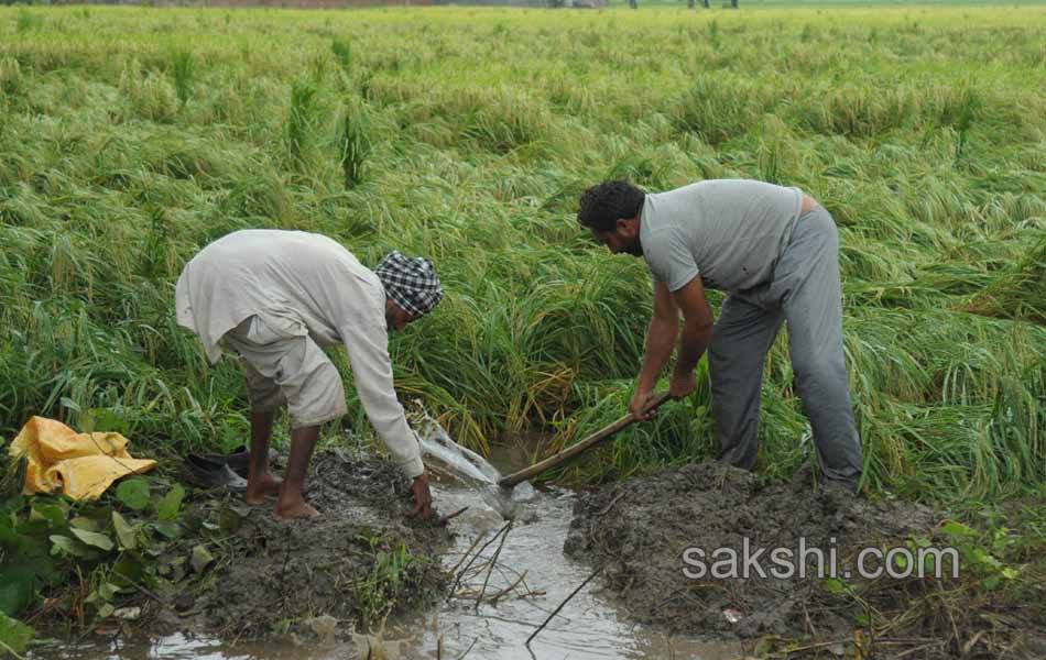 Floods hit Jammu and Kashmir - Sakshi12