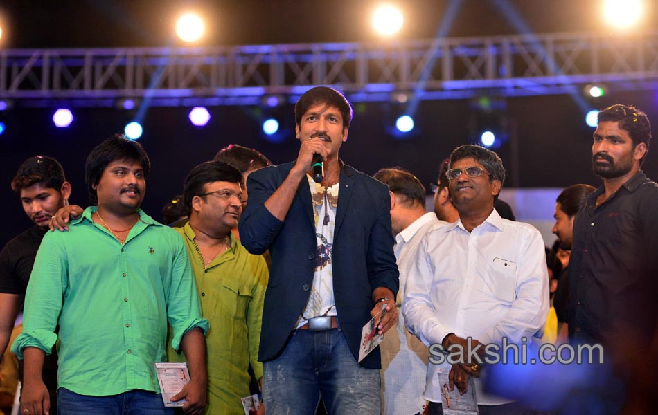 Loukyam Movie Audio Launch - Sakshi26