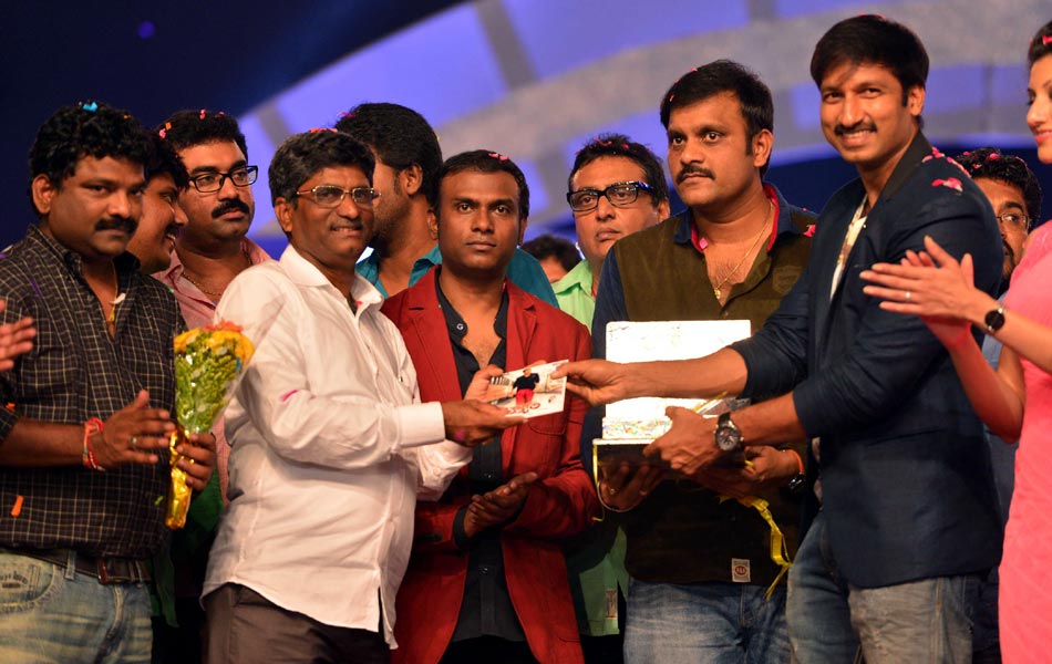 Loukyam Movie Audio Launch - Sakshi27