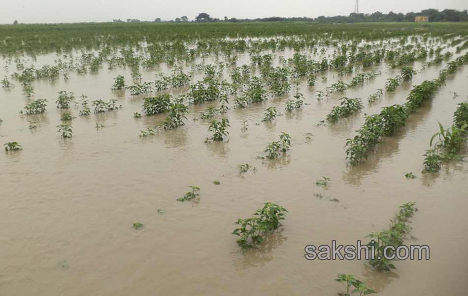 guntur district huge rains - Sakshi1