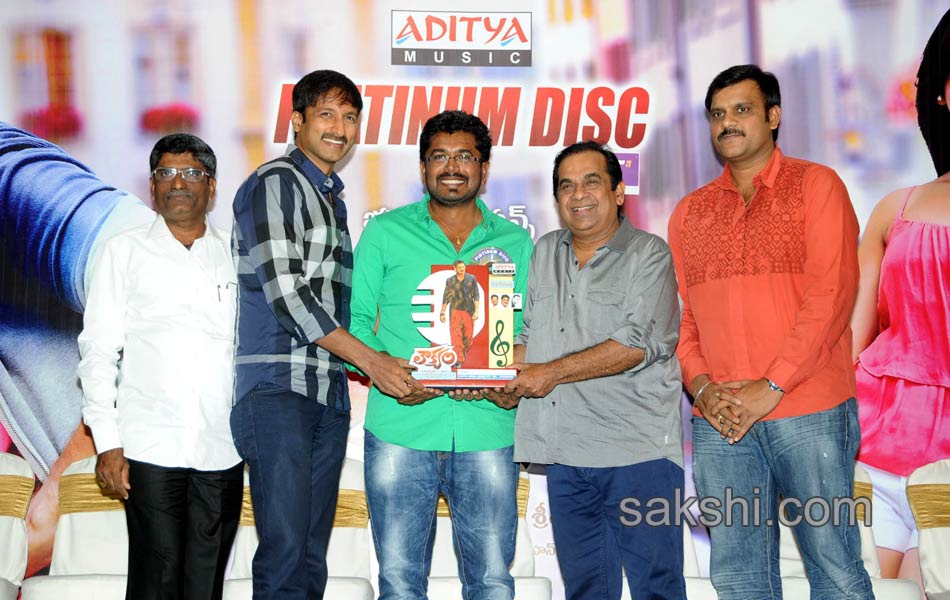 Loukyam Platinum disc function6