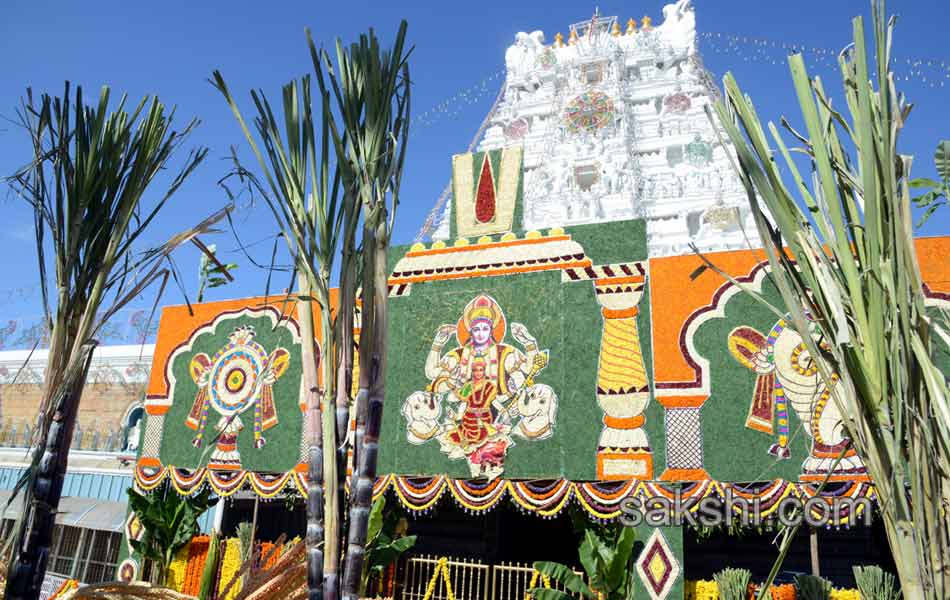 tirumala srivari brahmotsavam18