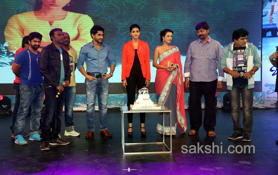 Oka Laila Kosam Audio Success Meet9