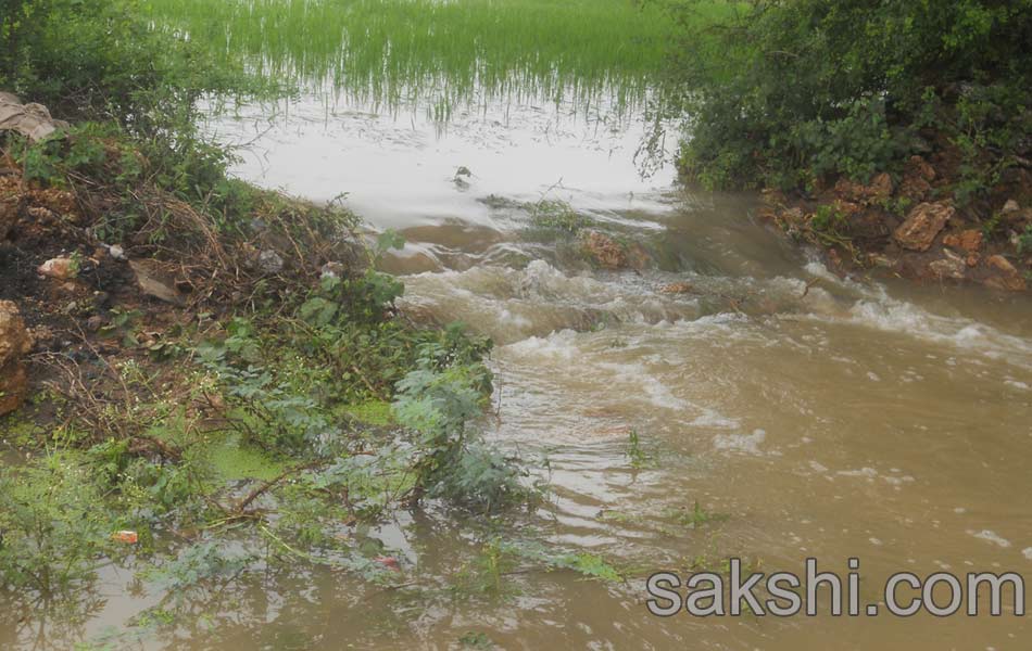 Heavy rains in guntur district - Sakshi5