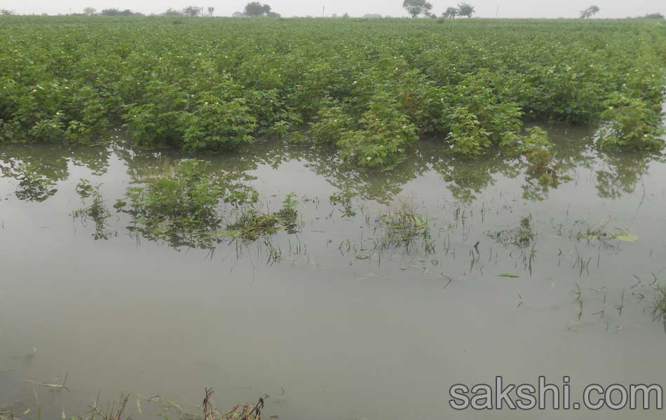 Heavy rains in guntur district - Sakshi6